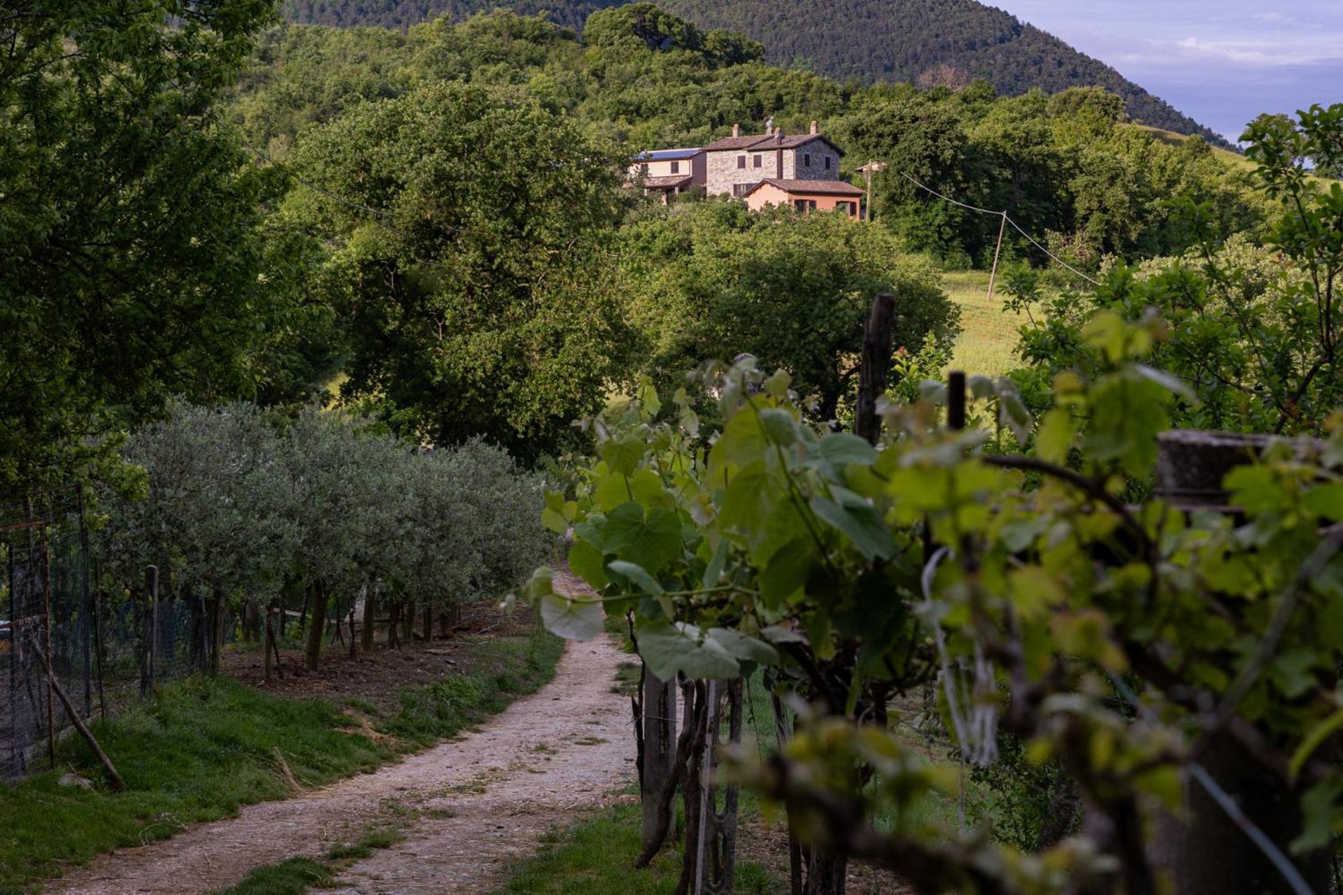Relais Parco Del Subasio Vila Piano Delle Pieve Exterior foto